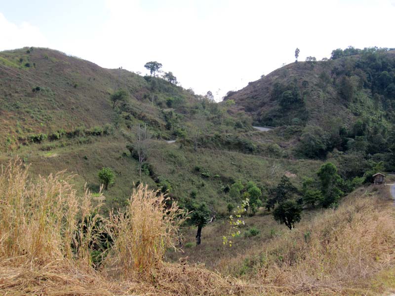 122909Rt1081BoKlua1Sm.jpg