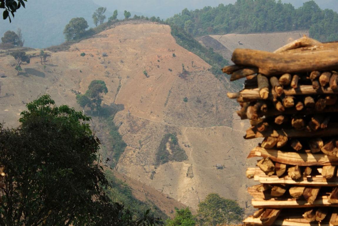 140306-PCQ-deforestation4.jpg