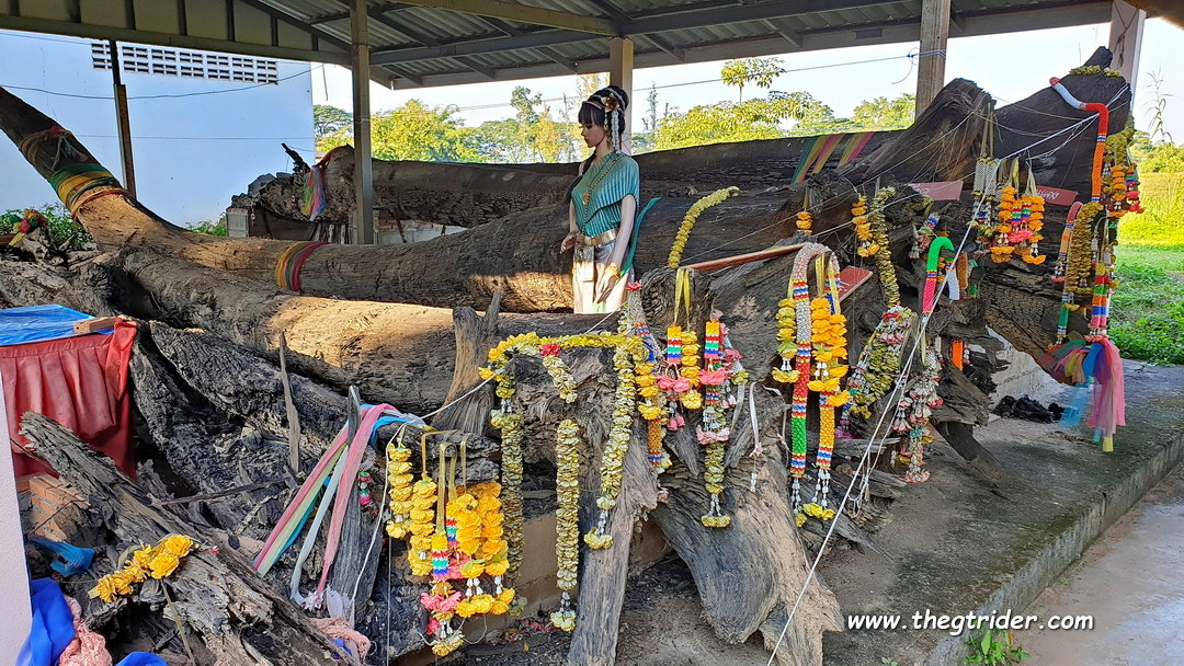 1639045462074-png.144257