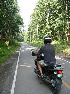 19708227-S.jpg