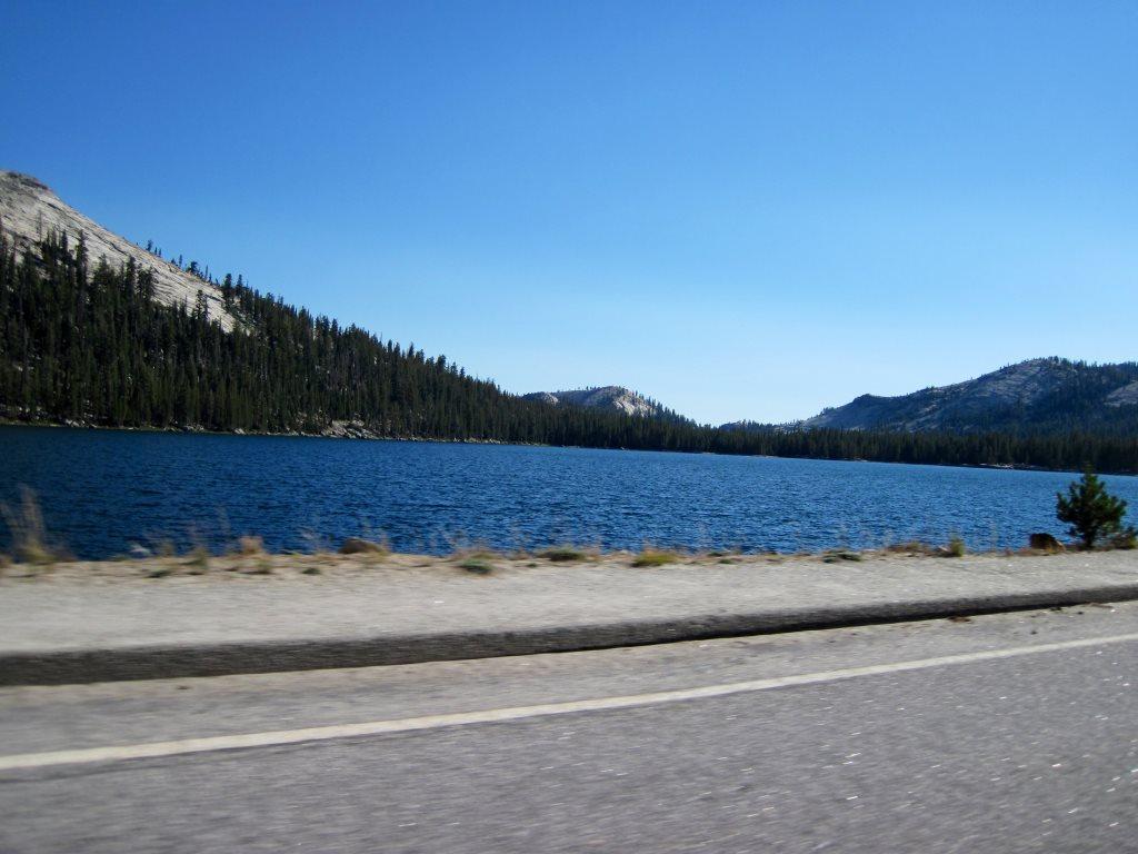 1e35adcdbc967610b9c035872795dd58_zpsc9c42c51.jpg