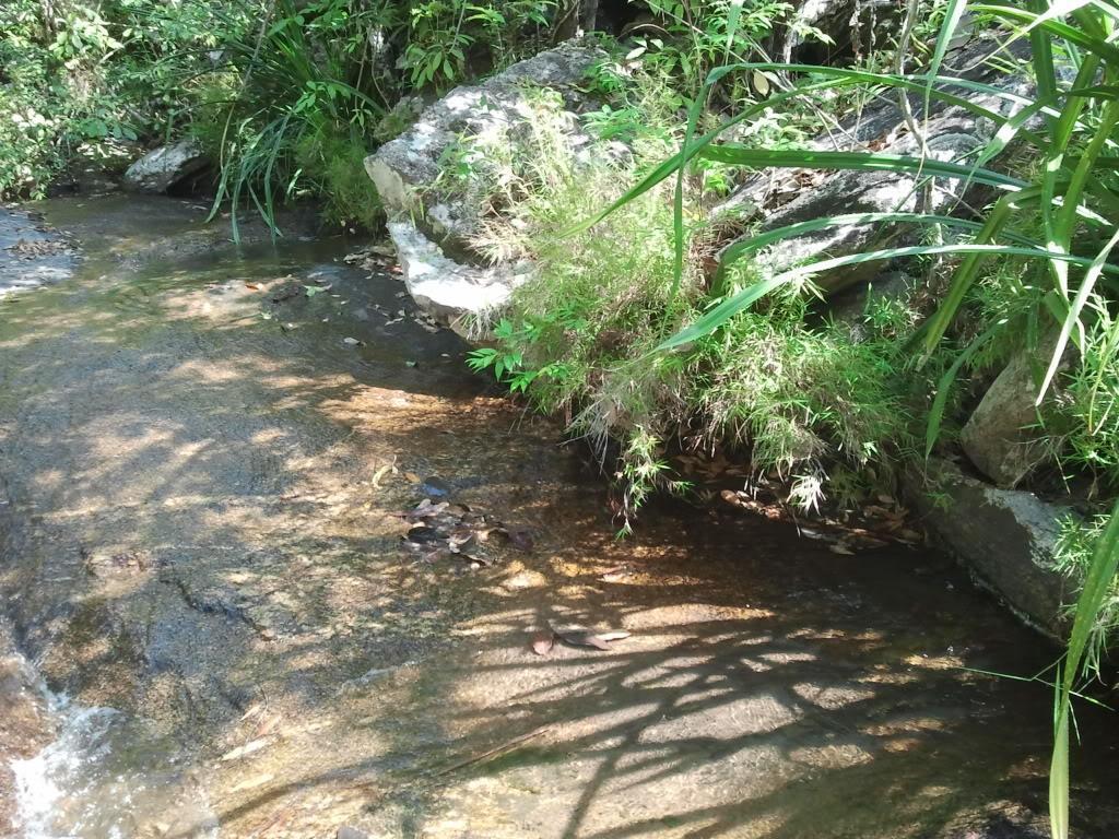 2012-04-10101233.jpg
