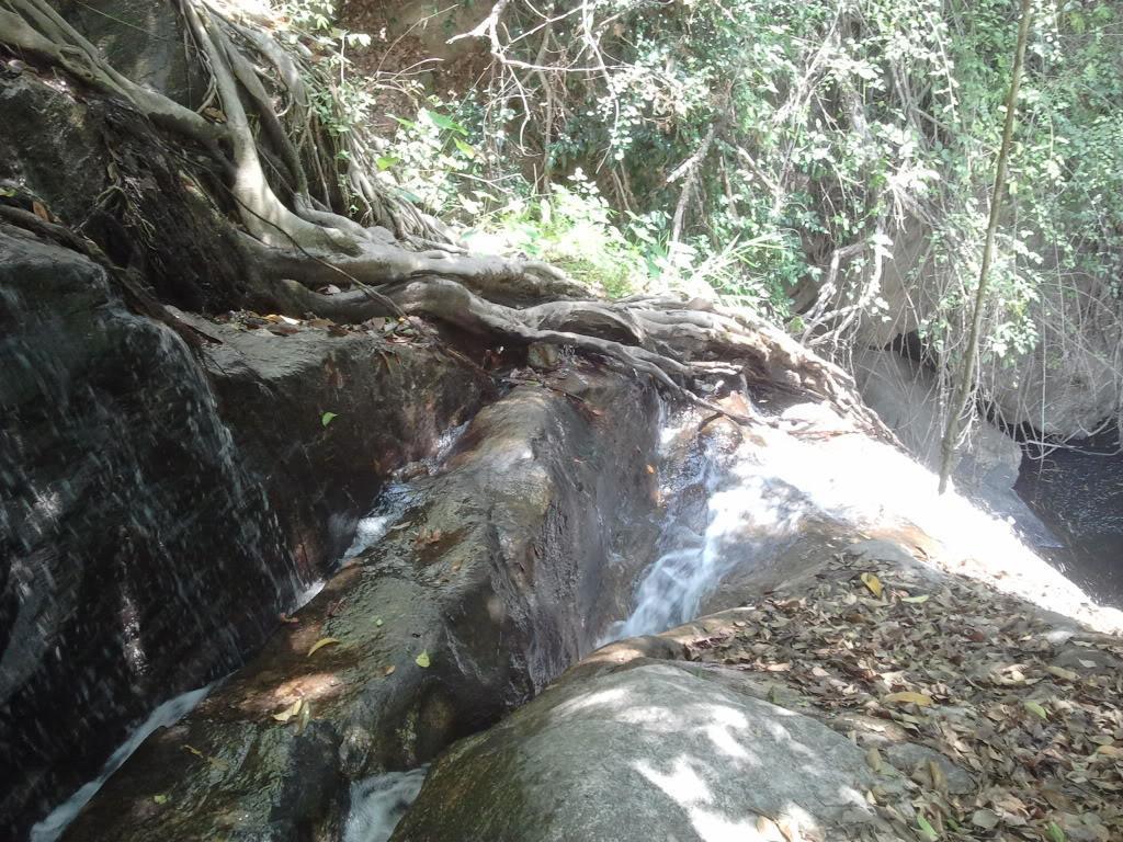 2012-04-10104850.jpg