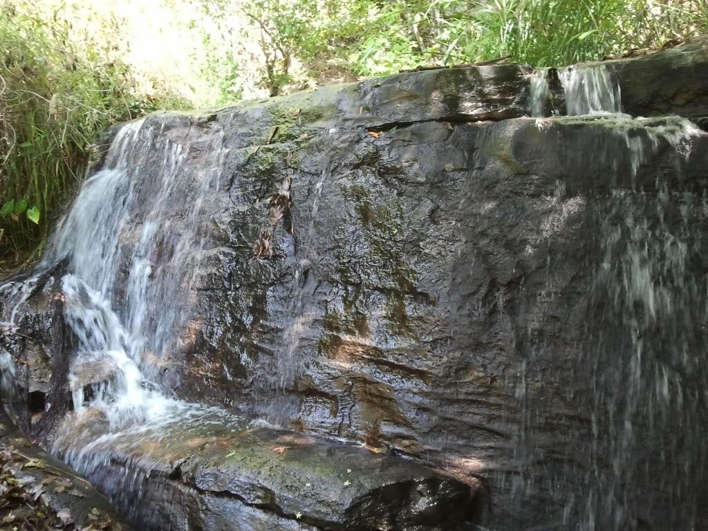 2012-04-10104858.jpg