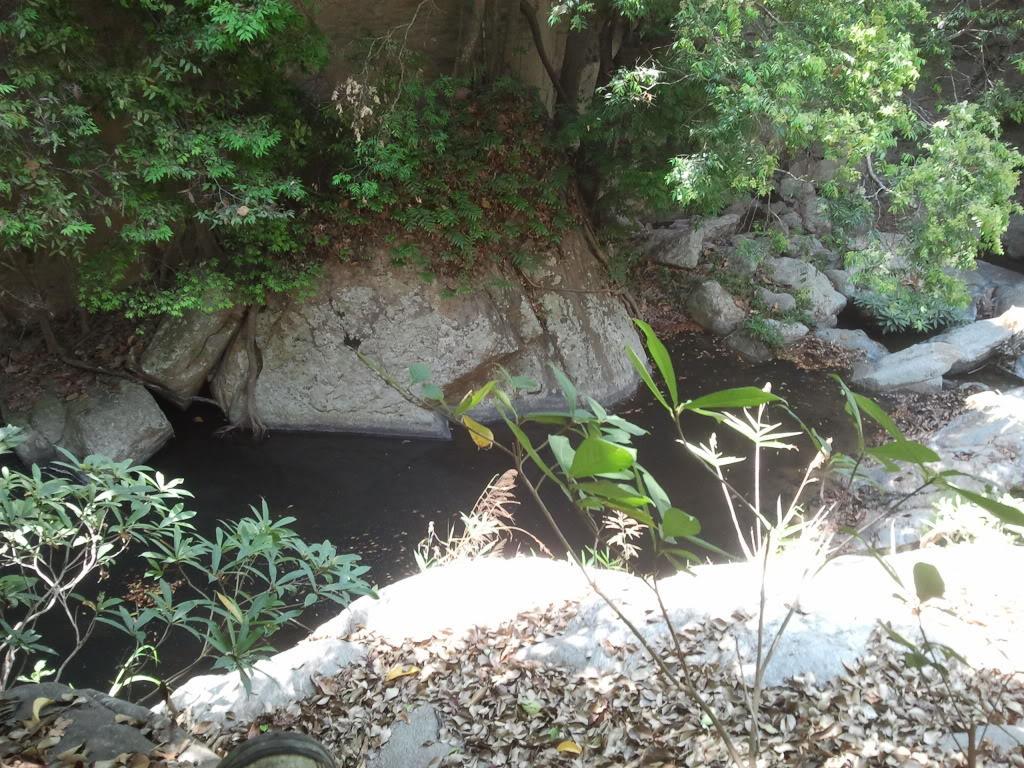 2012-04-10105012.jpg