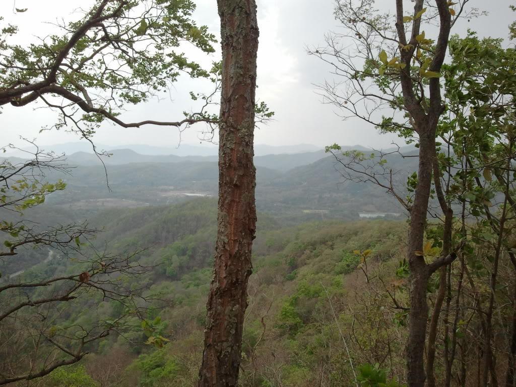 2012-04-10142829.jpg