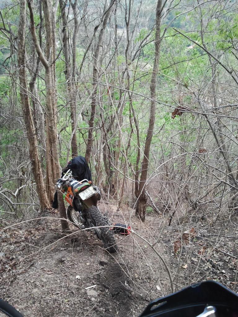 2012-04-10155933.jpg
