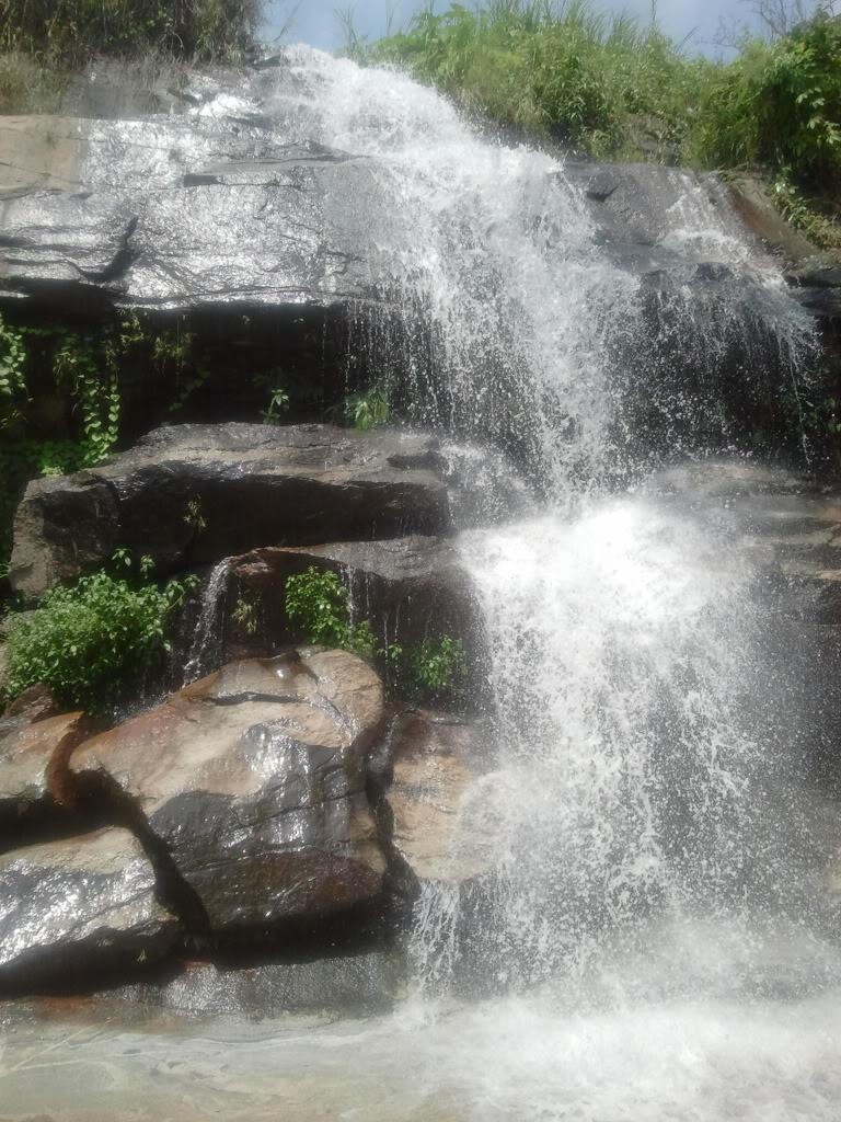 2012-05-11105601.jpg
