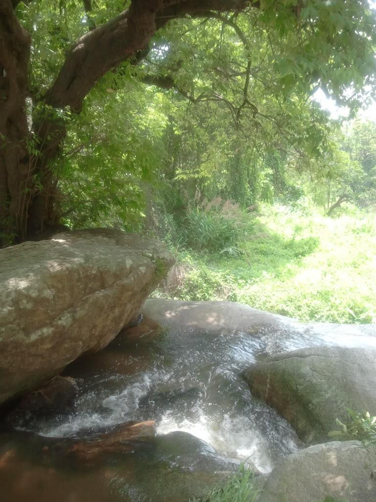 2012-05-11105621.jpg
