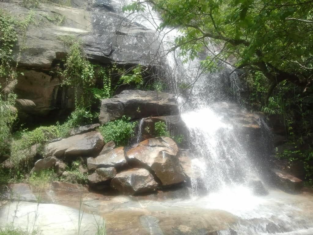 2012-05-11105846.jpg