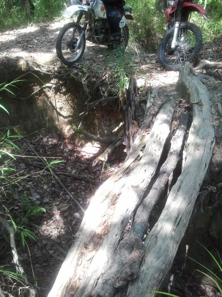 2012-05-11134443.jpg