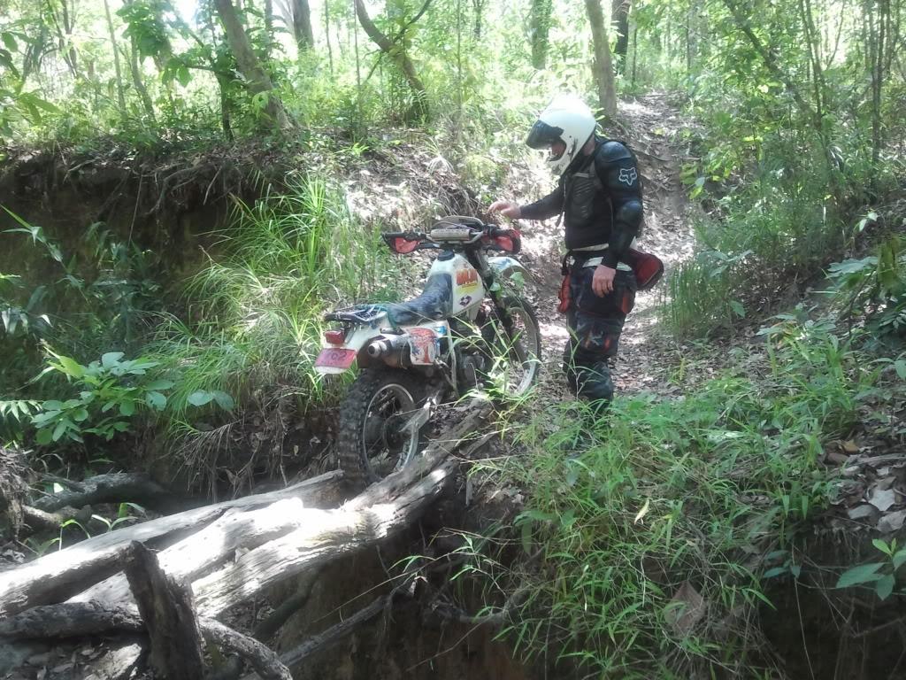 2012-05-11134927.jpg