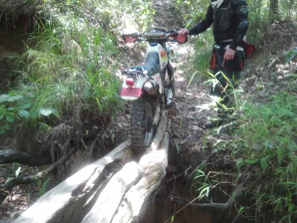 2012-05-11134934.jpg