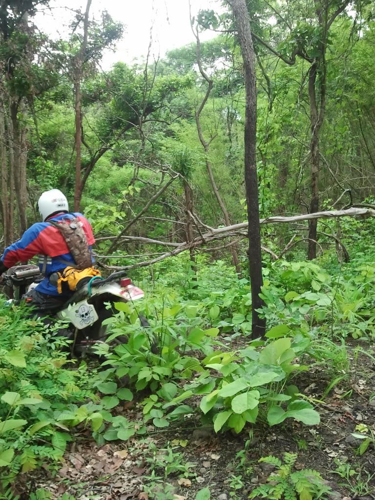 2012-05-19104742.jpg