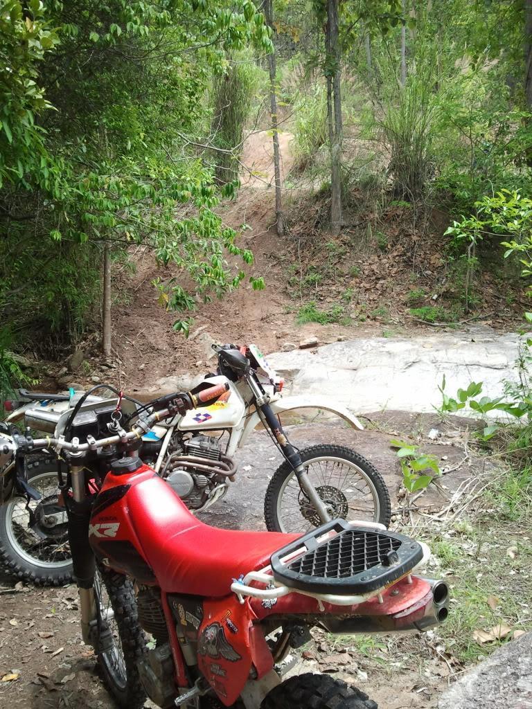 2012-05-19113348.jpg