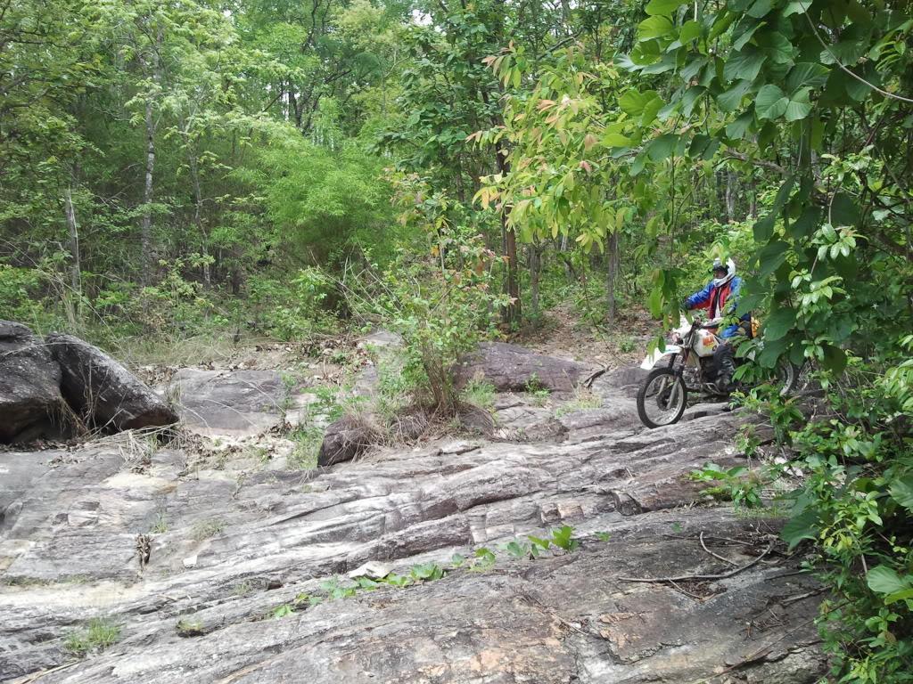 2012-05-19113614.jpg