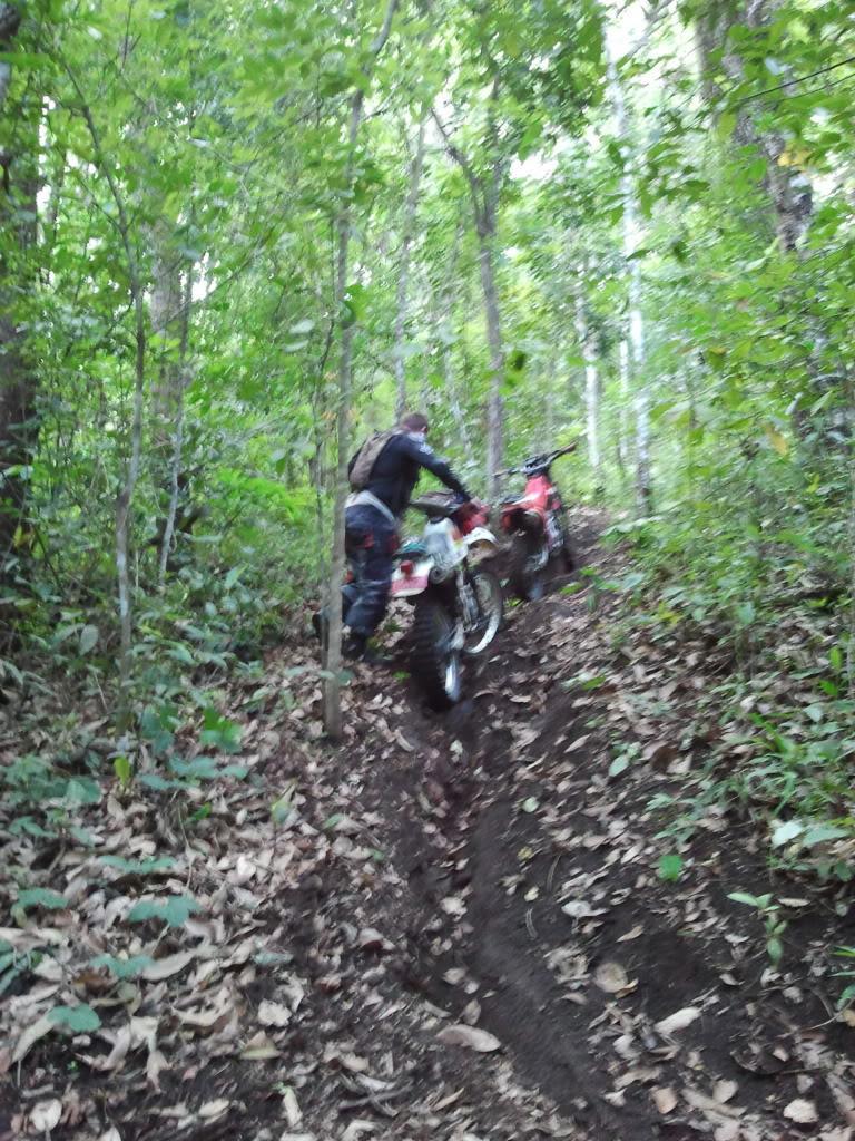 2012-05-19140643.jpg