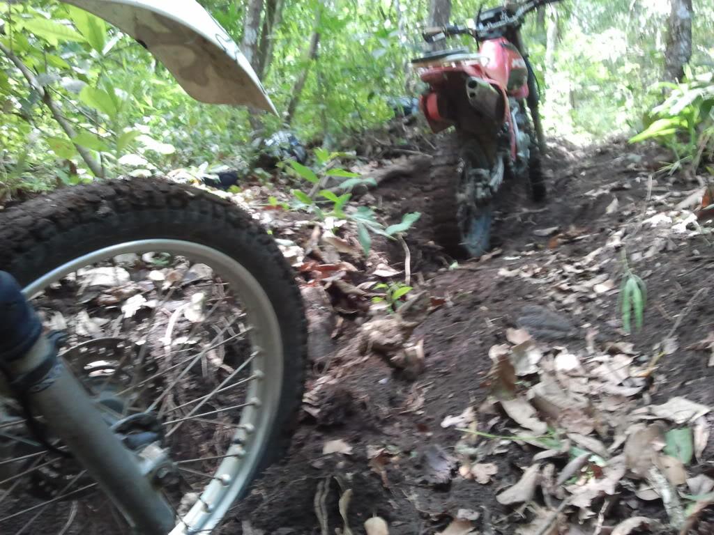 2012-05-19140845.jpg