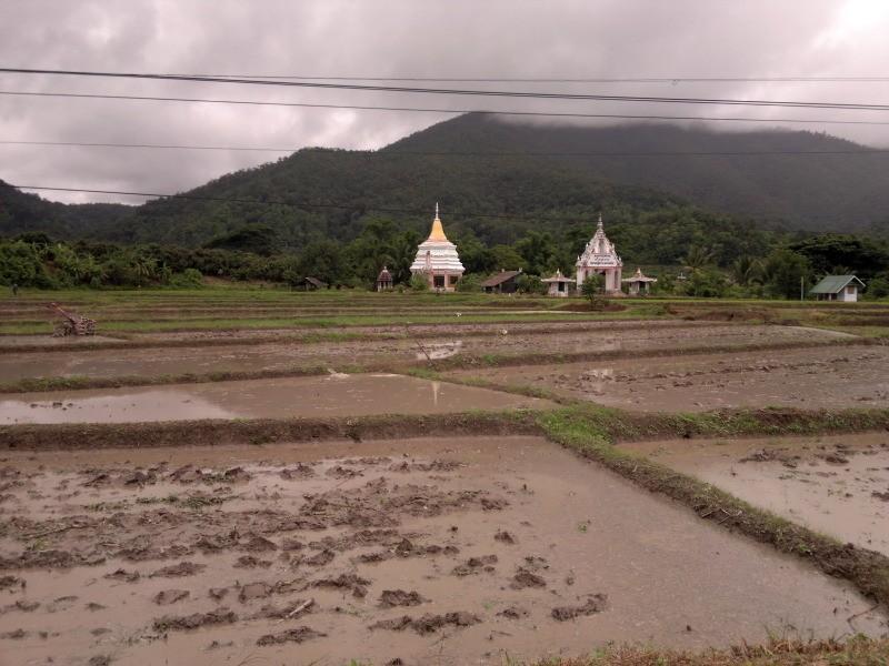 2012-07-19-697.jpg