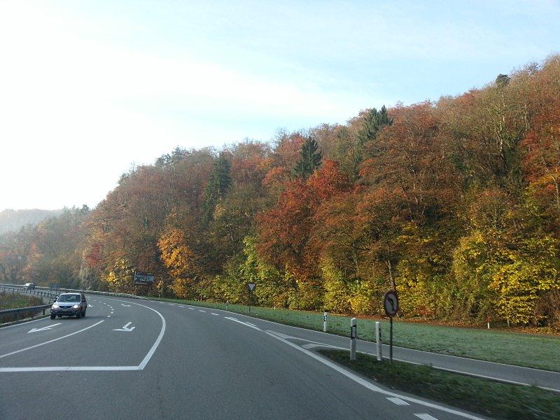 20121109_084407.jpg