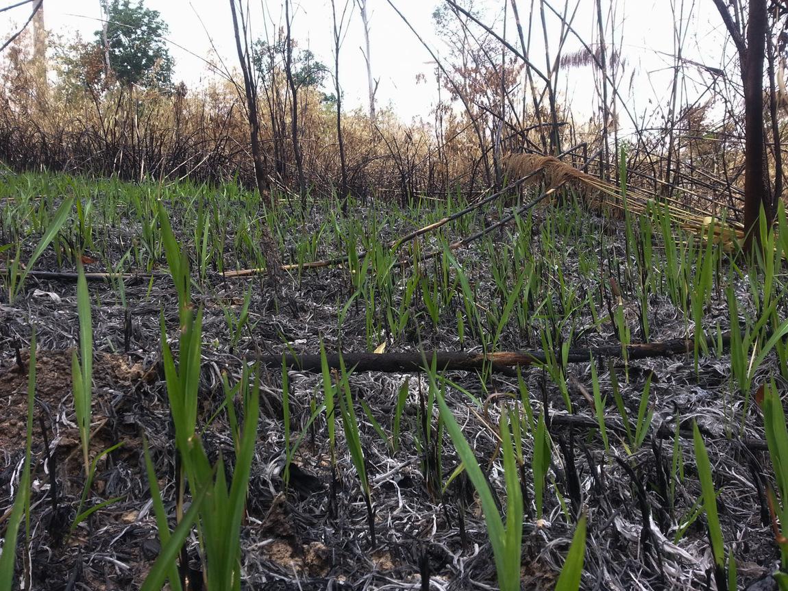 20130407_120208.jpg