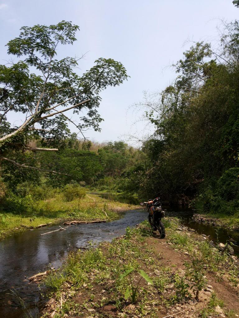 20130422_141618_zps584c8523.jpg