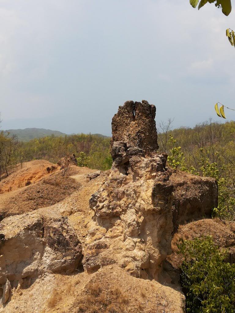 20130424_113003_zps95033e7d.jpg