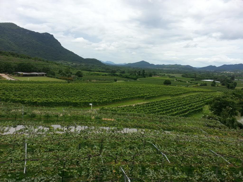 20130816_112929_zps5fd1b191.jpg