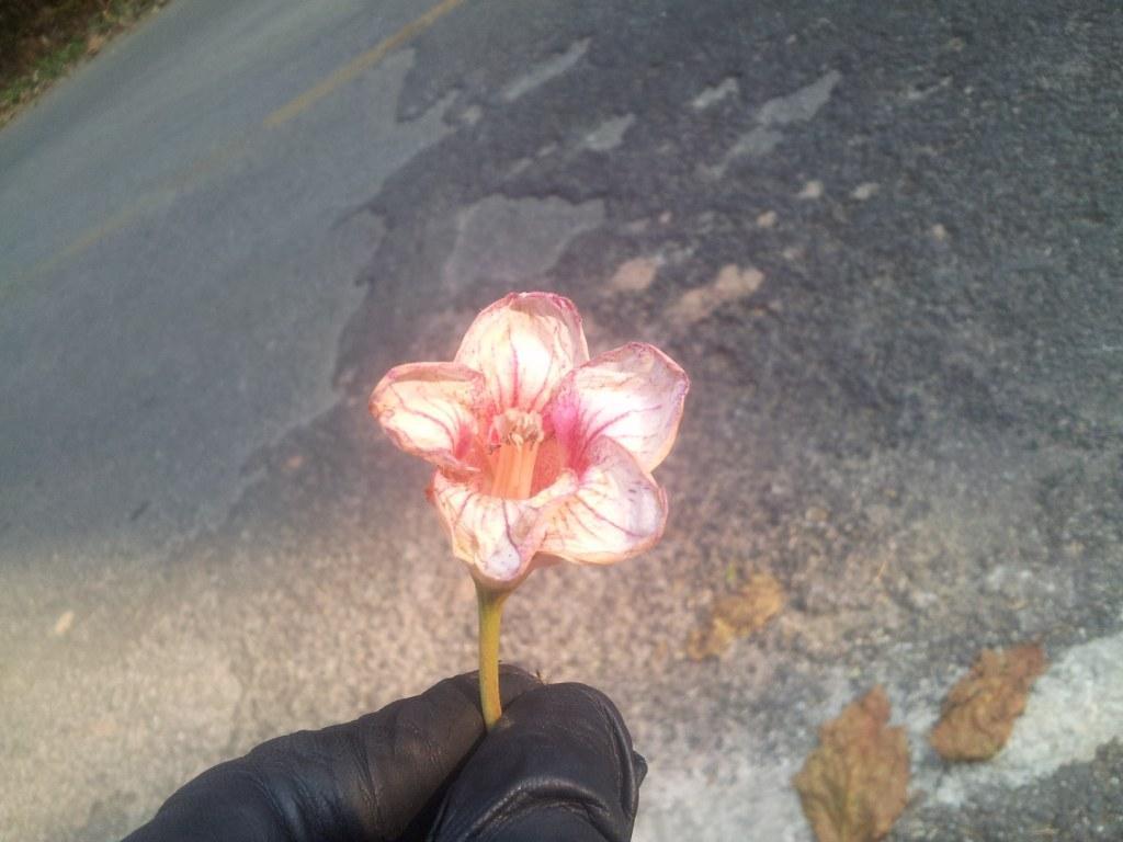2014-03-07082634.jpg