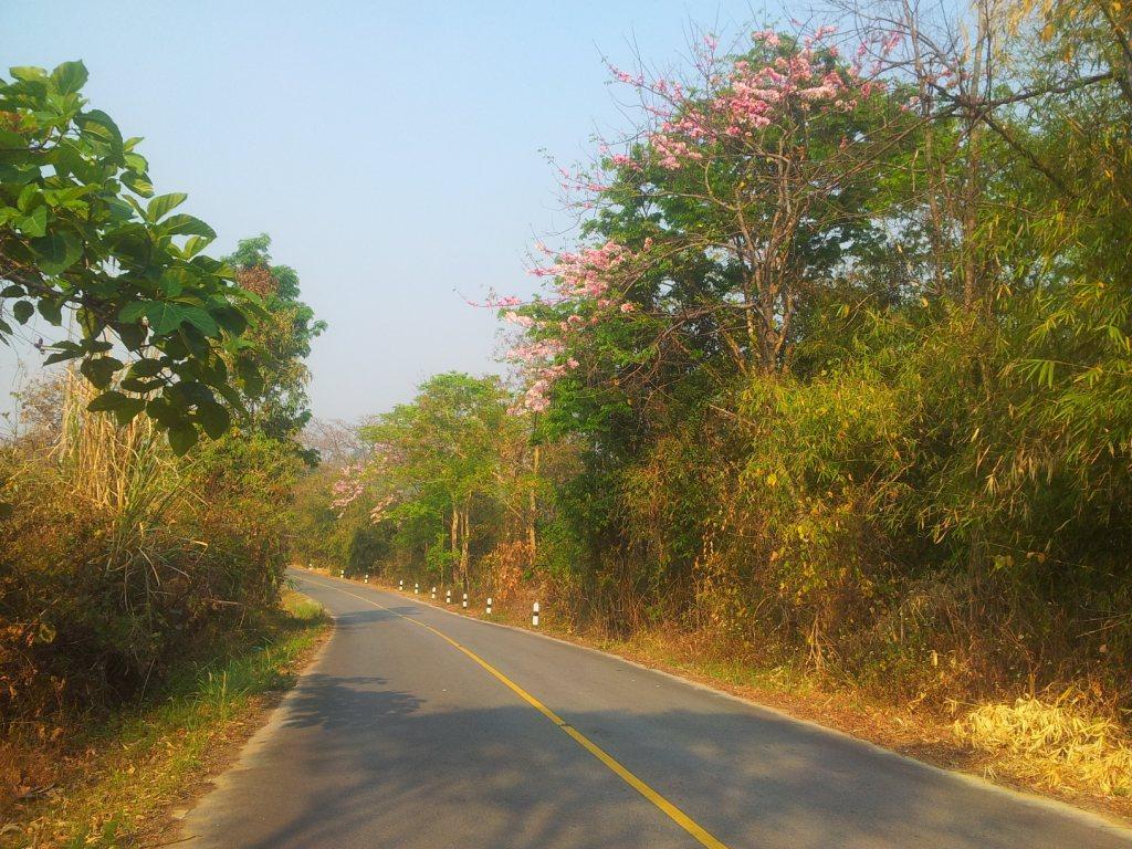 2014-03-07090441.jpg