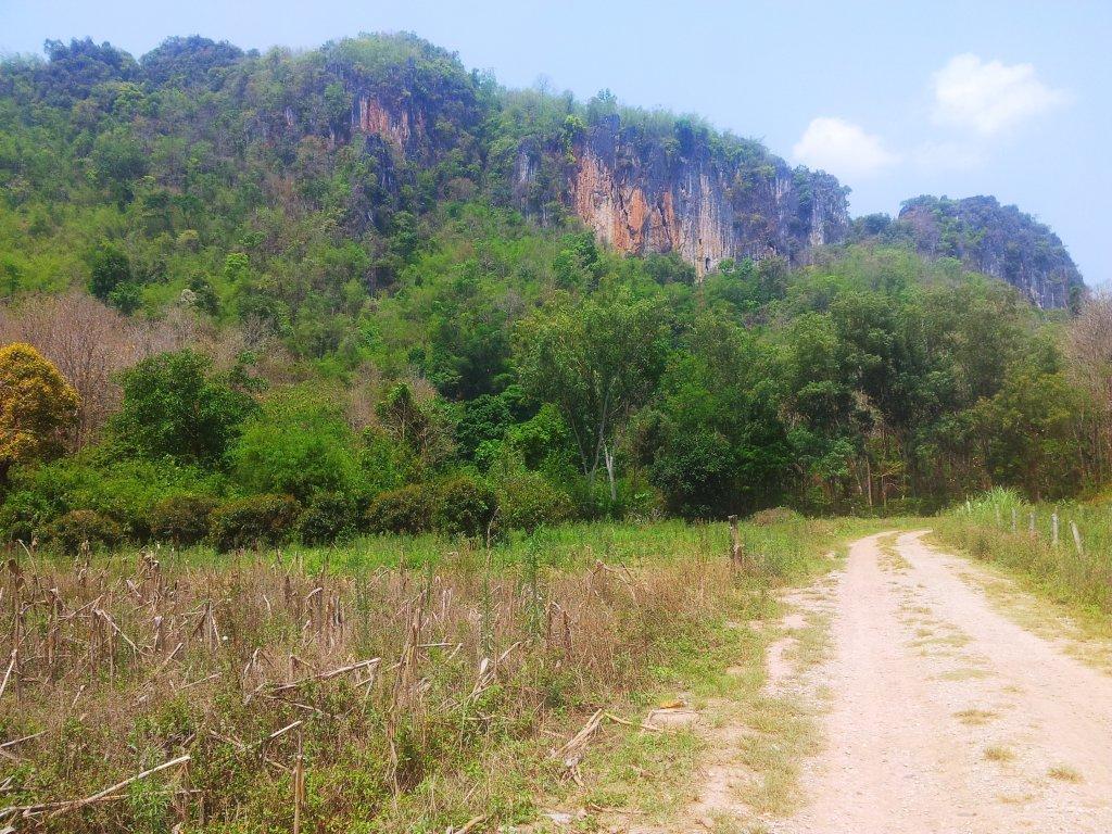2014-04-27110727.jpg