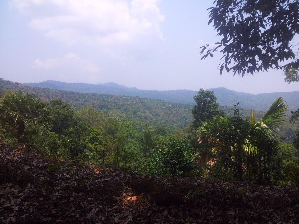 2014-04-27121448.jpg