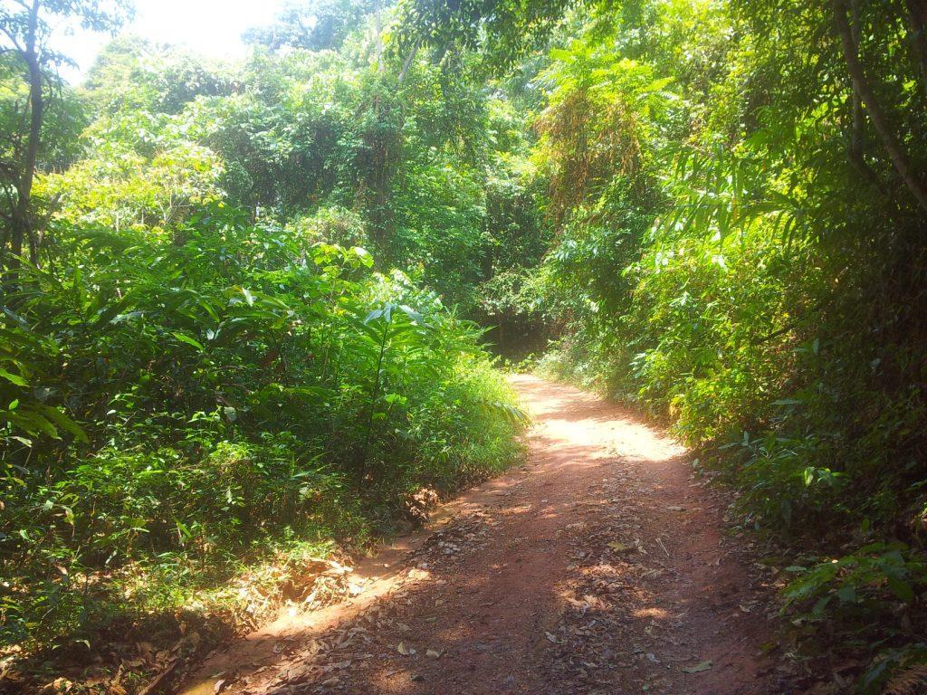 2014-04-27121725.jpg