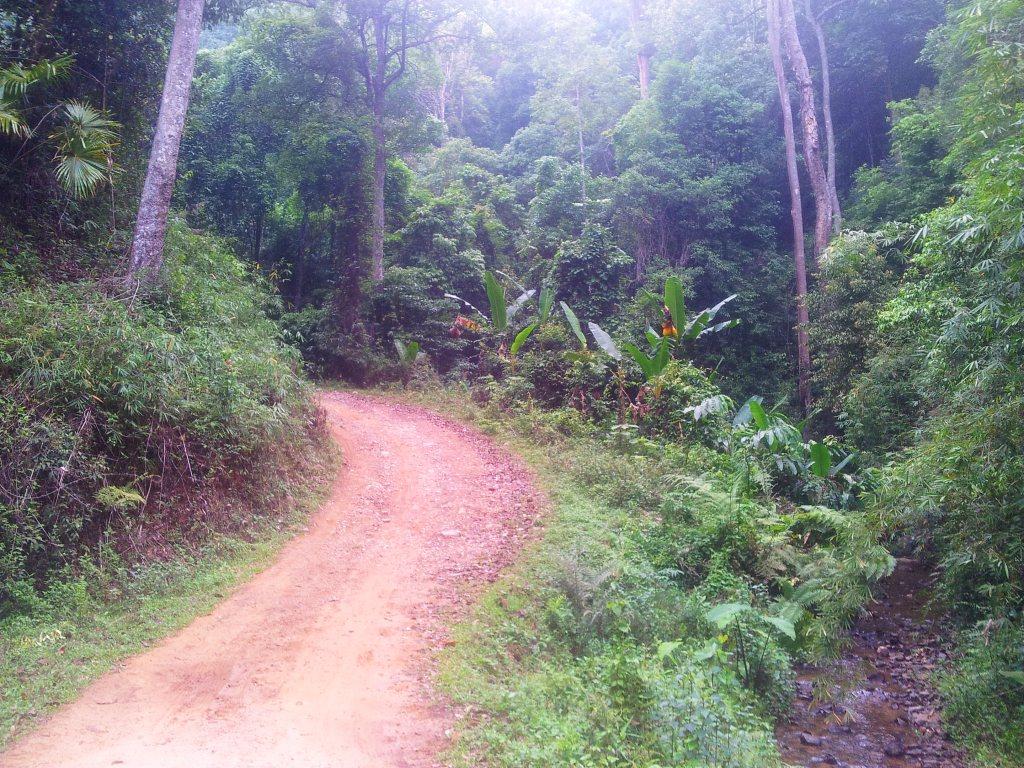 2014-04-28072907.jpg