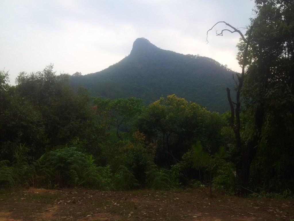 2014-04-28074458.jpg