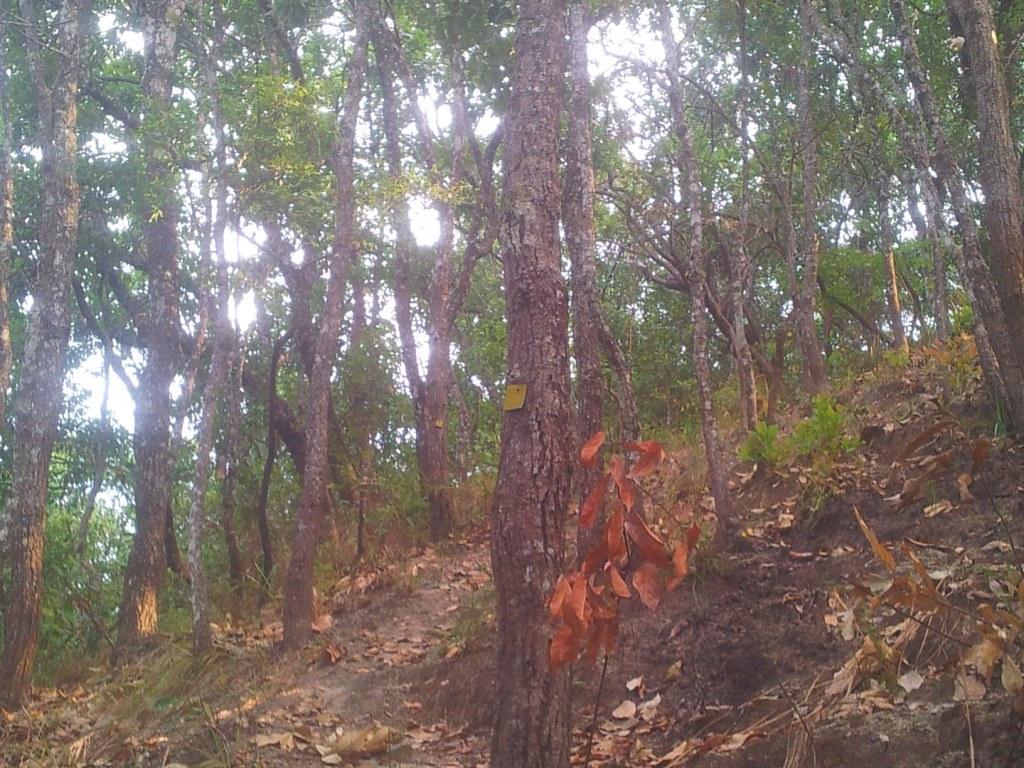 2014-04-28081643.jpg