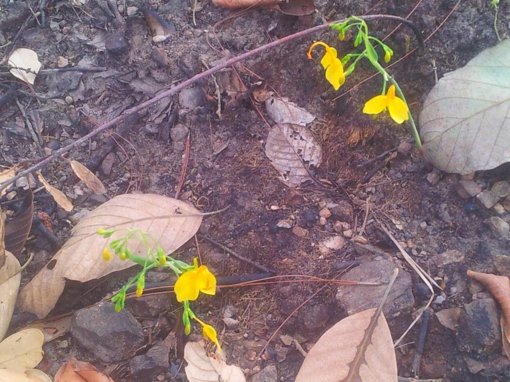 2014-04-28082705.jpg