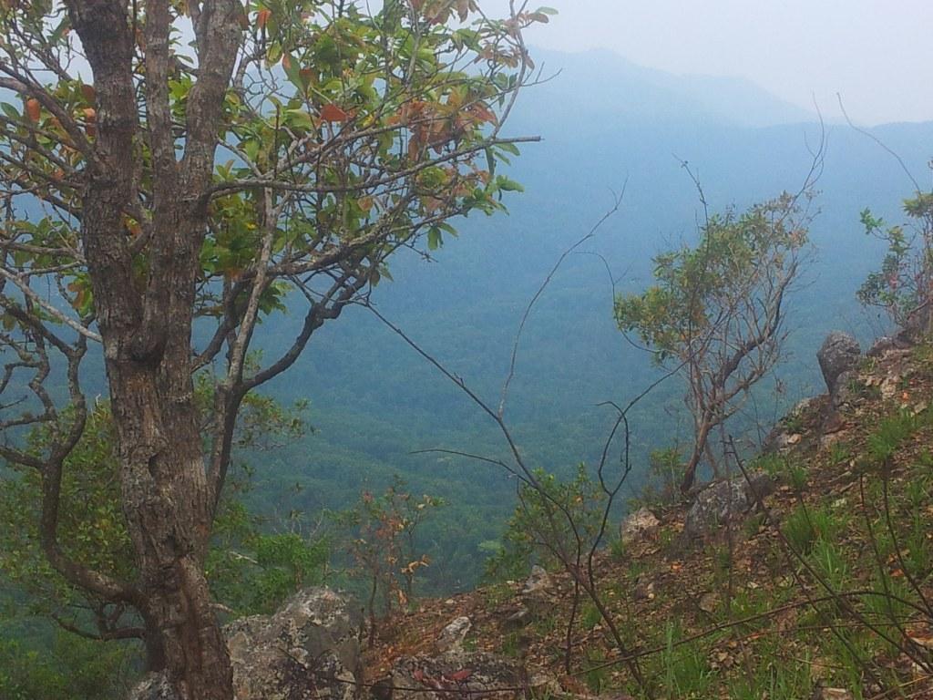 2014-04-28084347.jpg