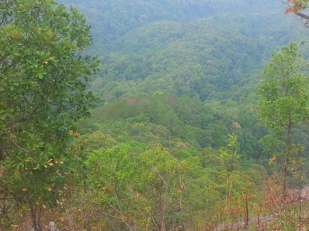 2014-04-28084534.jpg