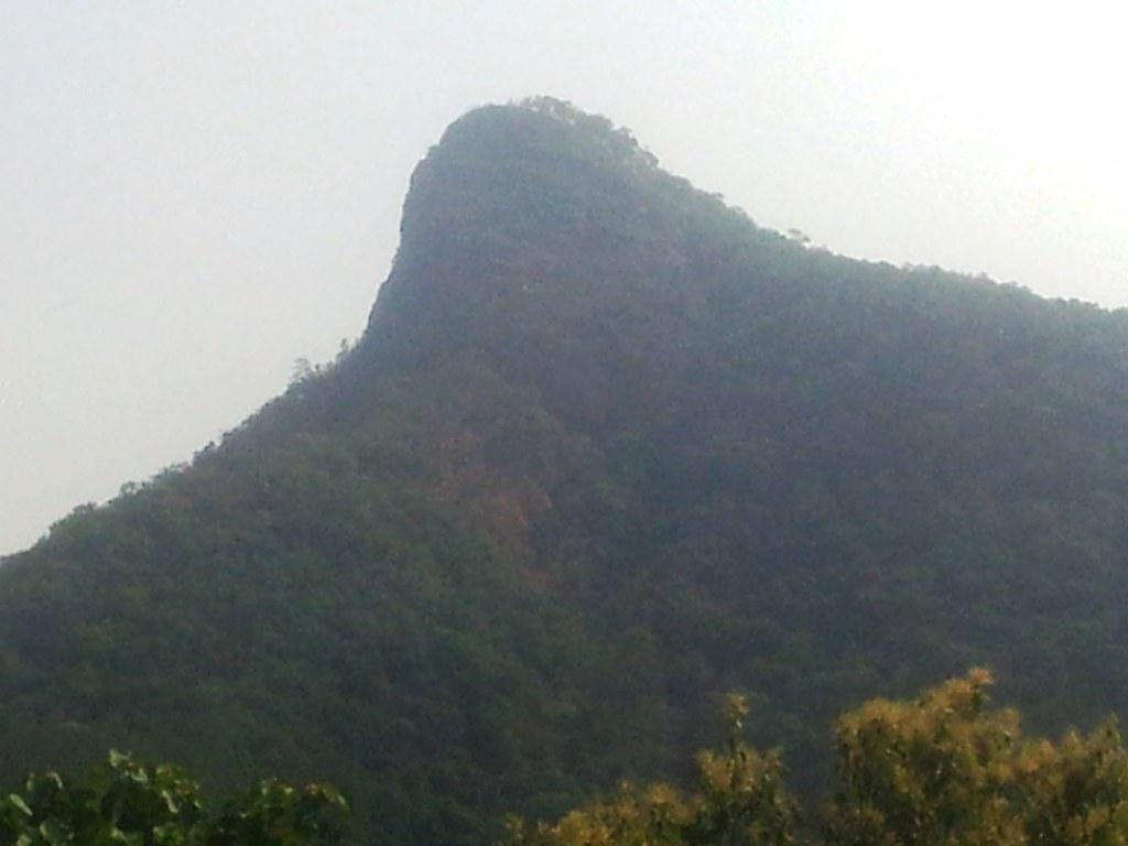 2014-04-28093311.jpg