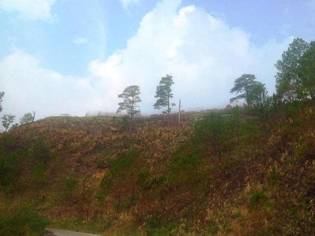 2014-04-29073709.jpg