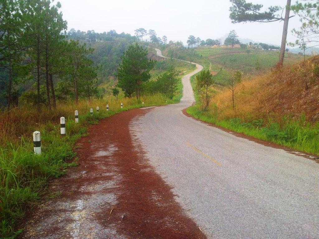 2014-04-29073859.jpg