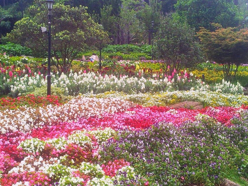 2014-04-29083306.jpg