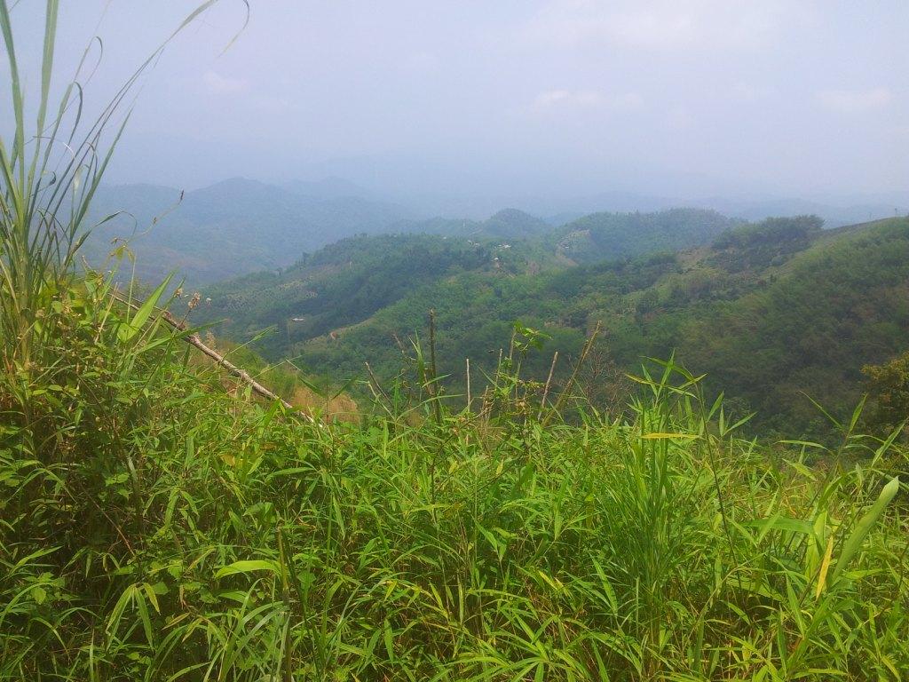 2014-04-29124114.jpg