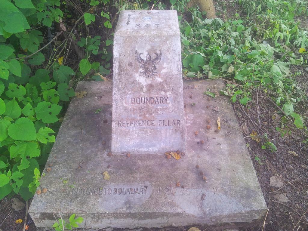 2014-07-03143758.jpg