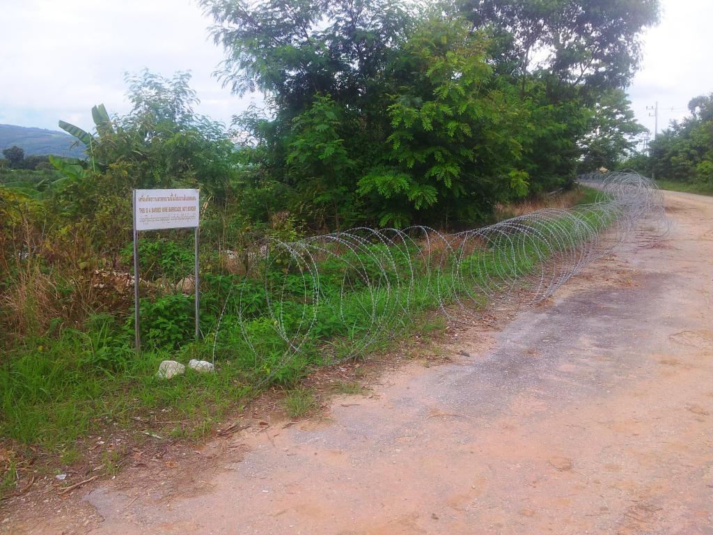 2014-07-03144626.jpg