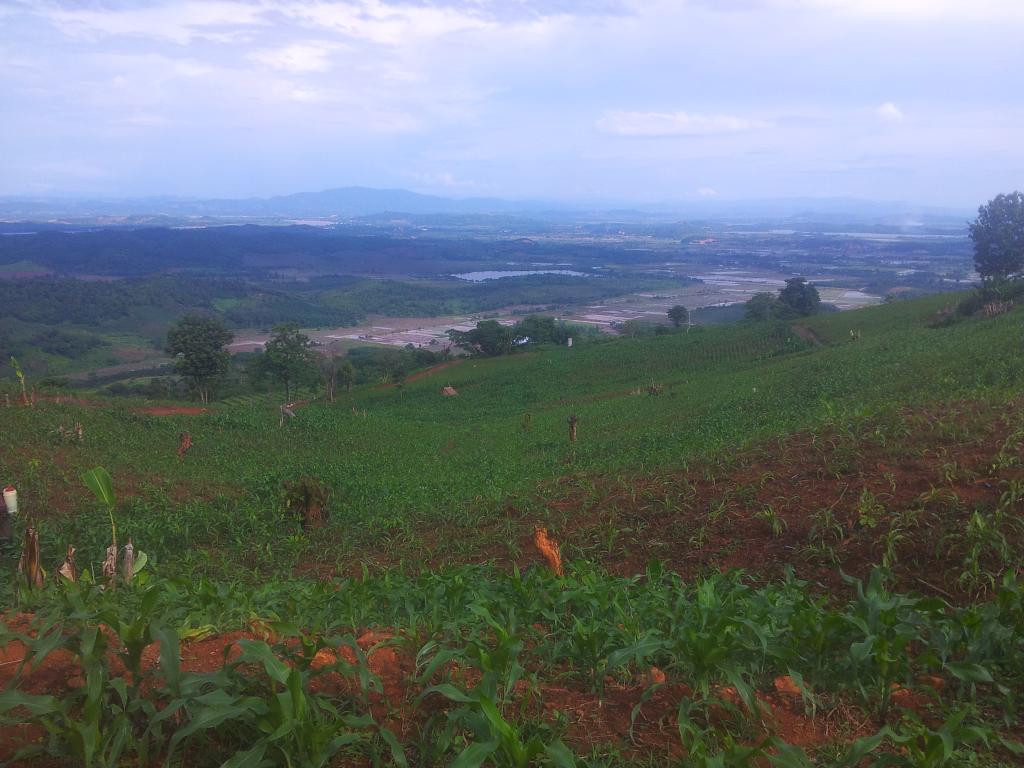 2014-07-03160250.jpg