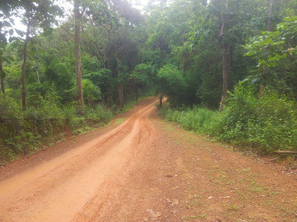 2014-07-29103922.jpg
