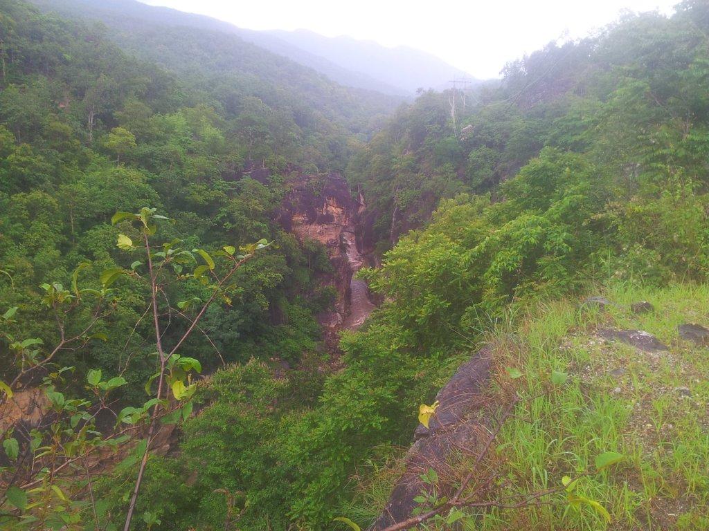 2014-07-29171042.jpg