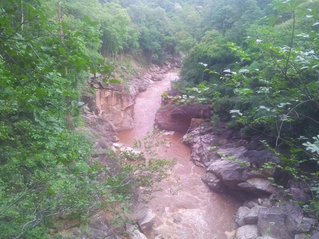 2014-07-30071249.jpg